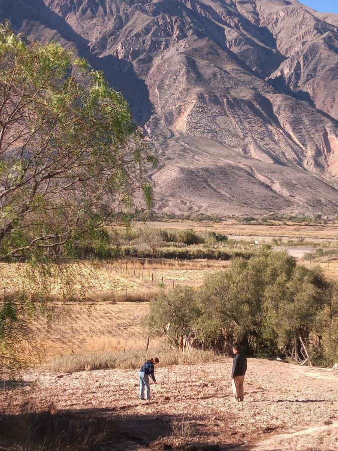 Dormir Con Llamas Maimará Exteriér fotografie