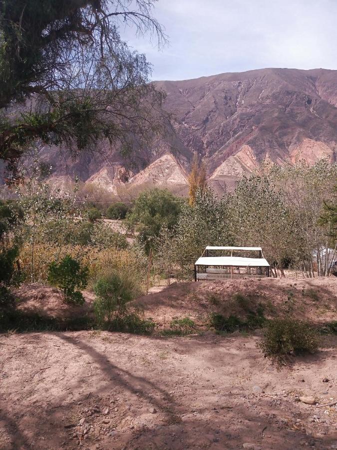 Dormir Con Llamas Maimará Exteriér fotografie
