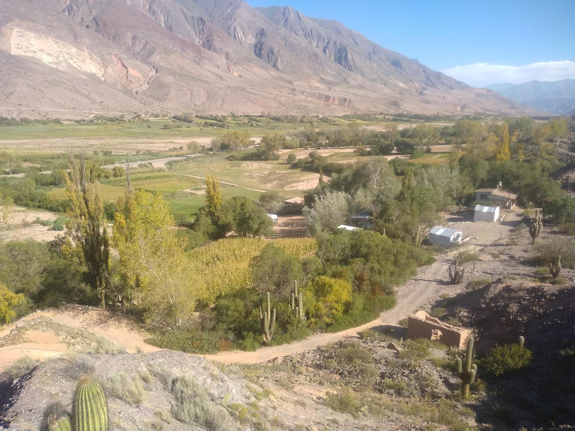 Dormir Con Llamas Maimará Exteriér fotografie