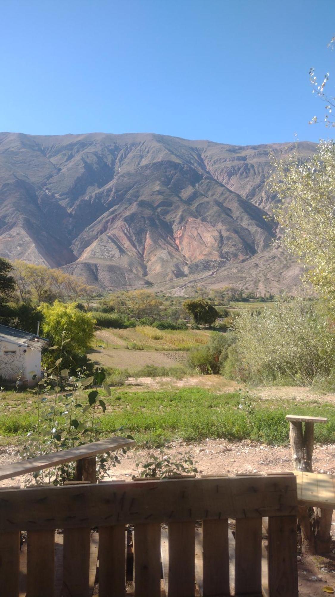 Dormir Con Llamas Maimará Exteriér fotografie